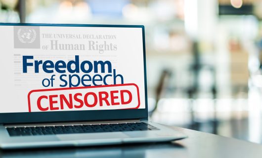 Efforts to Stop Alleged Disinformation And The Possible Transformation of Censorship